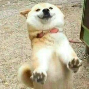 Meet your Posher, Joyce